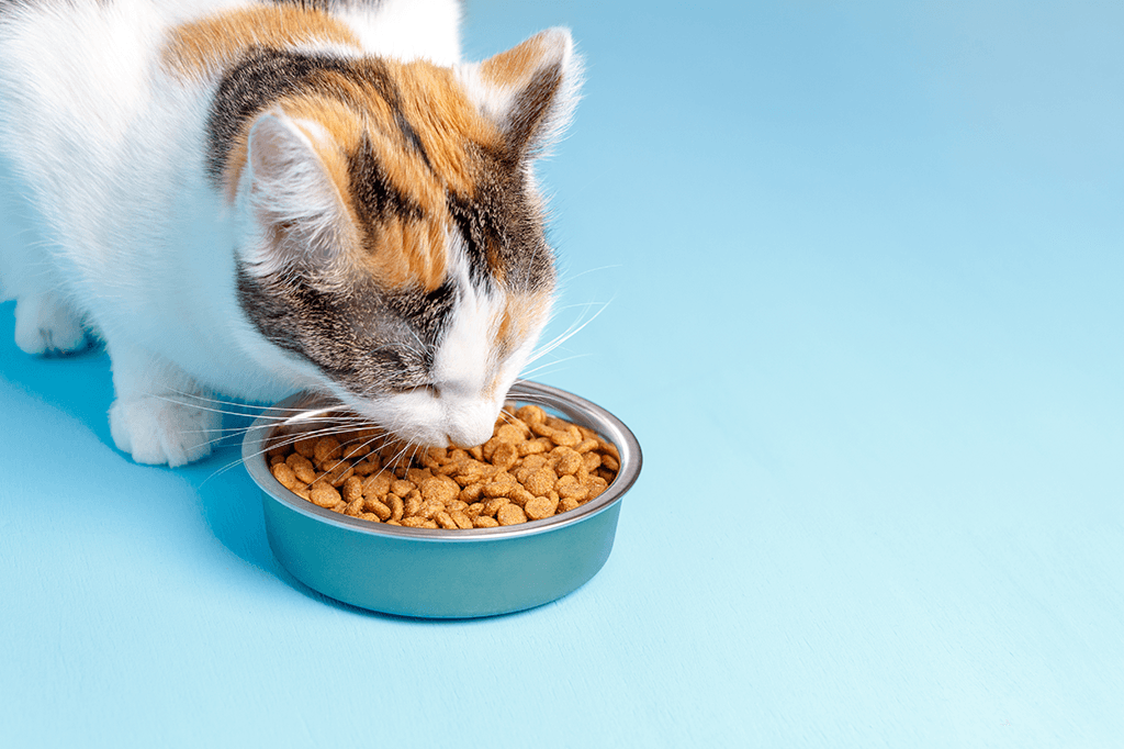 Pet Hub Too Good To Go listing